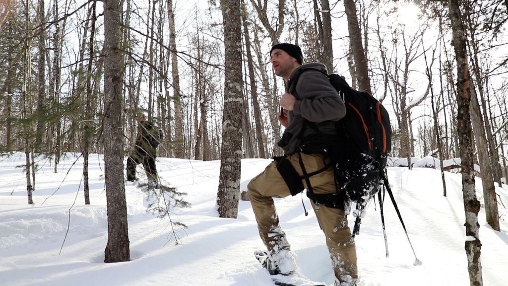 Collaborating with Forest Management Companies for Sustainable Practices