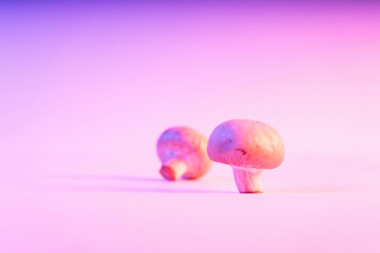 Ensuring Quality, Purity, and Efficacy: How TruNorth Naturals Verifies Fungi-Derived Products